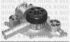 BORG & BECK BWP2141 Water Pump